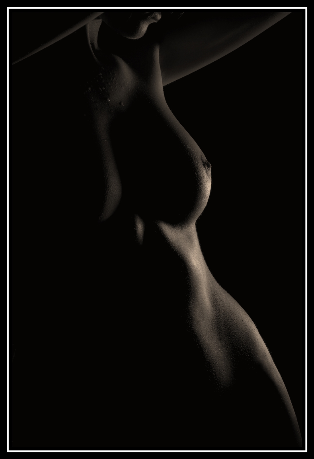 Ad   02   684web